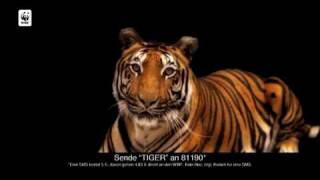 WWF TV Spot Tiger DEADLINE