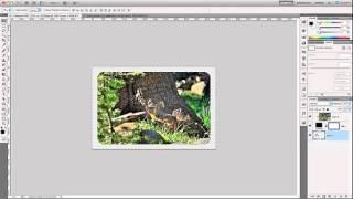 Custom Picture Frames—Creating a Decorative Photo Frame in Photoshop