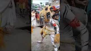 Muharram Sher video 😾😾😾