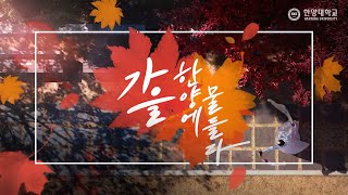 #가을, 한양에 물들다🍂🍁