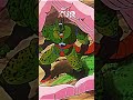 tien humbles cell… dragonball tien