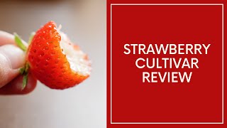 Strawberry Cultivar Review