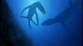 Megalodon vs Liopleurodon