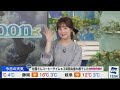 【ライブ配信終了】最新天気ニュース・地震情報 2025年2月26日 水 ／北日本や北陸は落雪・雪崩に注意　関東以西は花粉飛散〈ウェザーニュースliveアフタヌーン・川畑玲／宇野沢達也〉