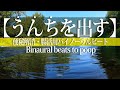 【便秘解消・腸活用音楽】貴方をトイレに誘う聴くだけでリラックスしてうんちが出る癒しのバイノーラルビート＜ASMR＞、快便・ダイエット・痩せる・美肌・健康・うんこが出る曲