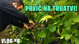 PRVIČ NA TRGATVI?! | VLOG #8 [SLO]