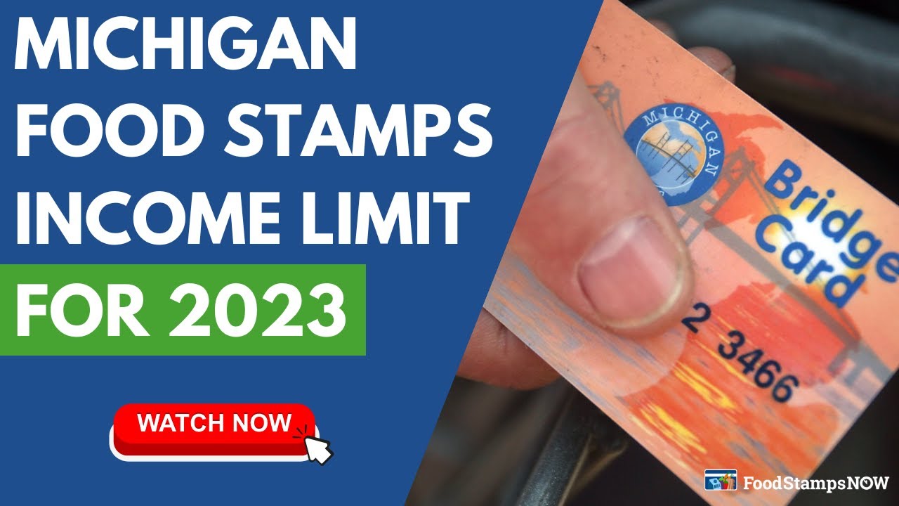 Michigan Food Stamp Income Limits For 2023 - YouTube