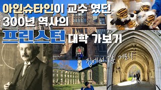 미국 1위 명문대 프린스턴 대학교는 어떤 모습일까?