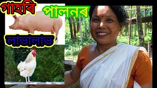 গাহৰি,হাঁহ আৰু কুকুৰা পালনৰ যোগেদি স্বাৱলম্বী মাক আৰু নিজৰ সন্তান ৷৷