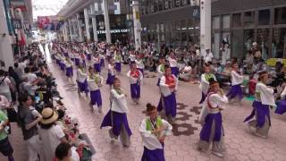 2016よさこい全国大会 　「やいろ」 　帯屋町筋会場　４K撮影