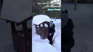 Snow Forest Adventure (Detailed Video Coming Soon)#funny #entertainment #snow# #adventure#family