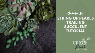 How to make a gumpaste / flower paste 'String of Pearls' or trailing succulent. No cutters required