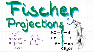 An EASY Way to Convert Fischer Projections into Bond Line Structures and Back