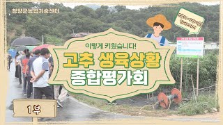 2023 고추 생육상황 종합평가회