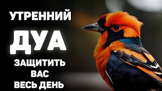 УТРЕННИЙ ДУА أذكار الصباح ЗАЩИТИТЬ ВАС ВЕСЬ ДЕНЬ | СЛУШАЙТЕ КАЖДОЕ УТРО!