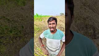 तूर सोंगणी 🤪🤣🌾🌿#shorts #viralvideo #comedy #funnymarathicomedy #marathicomedy #farming