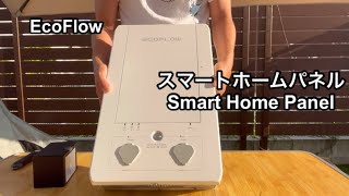 EcoFlow Delta Pro Smart Home Panel エコフローデルタプロスマートホームパネル　2