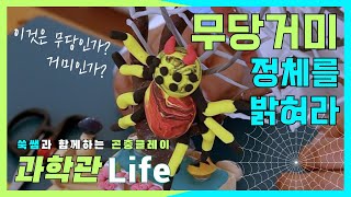 [과학관 Life] 무당거미 너의 정체를 밝혀라~