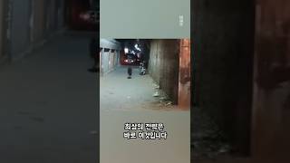 개로부터 도망칠 수 있는 최상의 전략 🐕