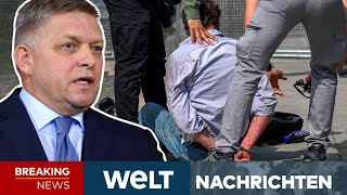 SLOWAKEI: Lebensgefährliche Verletzung! Regierungschef Fico wurde angeschossen | WELT LIVESTREAM