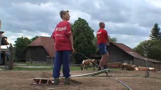 Hornussen - the sport of Swiss farmers