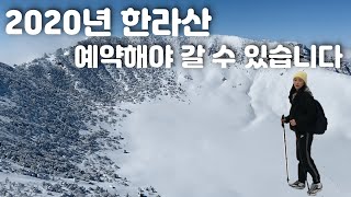 [2020 프로젝트] 겨울 한라산 등반 | 한라산 예약 | 한라산 대설경보 | 설산 장관 🏔