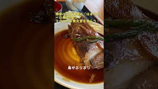 三浦港マグロかま煮定食を食らう、一日限定5食