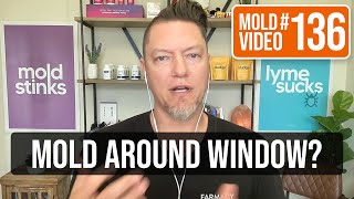 What to do about mold growing around my window?