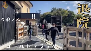 【TCC】ゴールドフラッグ退院！まさかの今浪さんがお出迎え♪