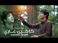 Kakarye ghare 2 Sta Pa Makh Khalona Las De | Zeeshan Ali  |  ستا پۀ مخ خالونه لس دي | ذیشان علي زرګ