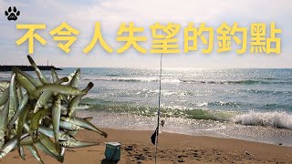 一個不會令人失望的釣點!!!#山狗大#釣魚#fishing#台湾釣り#遠投#沉底#灘釣#沙梭#新埔漁港