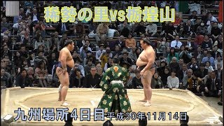 稀勢の里vs栃煌山　大相撲九州場所4日目　行司差し違え