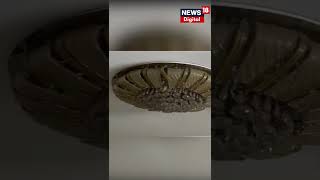 মধ্যরাতে কেঁপে উঠল রাজধানী, দেখুন Delhi Earthquake এর সেই ভয়াবহ ছবি । #shorts