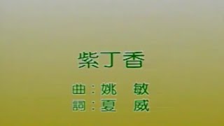 风格群星 - 紫丁花【金曲老歌 卡拉OK流行榜】