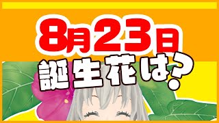 【花言葉】8月23日の誕生花は？／花白もか