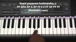 Nee Gudu Chedirindi - Piano Tutorials - Nayakudu | 1200 SONGS/PDF BOOK @399/- 7013658813