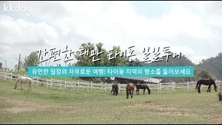 대만 여행 | 간편한 대만 타이동 일일투어 유연한 일정의 자유로운 여행! 타이동 지역의 명소를 둘러보세요! (KKday)