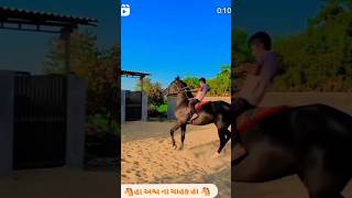 નાનો અસવાર ઘોડી ઉપર marwadi hores WhatsApp status #horsemilk #horselover #horseriding #popular