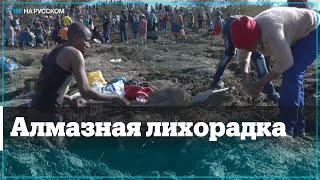 Тысячи охотников за сокровищами едут в ЮАР в поисках драгоценных камней