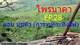 เล่านิยาย ไพรนาคา EP.28 ตอน ตะเคียนดำ (กำราบกระทิงไฟ)