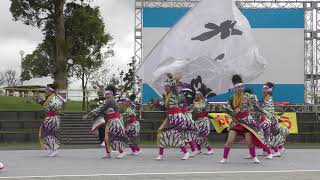 ちばYOSAKOI＠2019❜   水戸藩YOSAKOI連   イベント広場ステージ