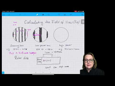 What happens to the diameter of the field of view when you change from low to high power?