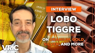 These Are the Commodities I Think Will Outperform, Even in a Recession: Lobo Tiggre