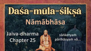 30 • Daśa-mūla-śikṣā 10: Nāmābhāsa — Jaiva-dharma Ch 25