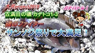 【高知県古満目エリア 磯フカセ釣り】幡多郡大月町へ親父1人旅 1-3  底物師の聖地でフカセ釣り 厳寒期に五目を狙う！カナトコ 後編【大月project2019】