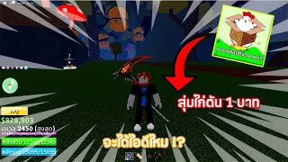 Blox Fruits : ลองสุ่มไก่ตัน 1 บาท จะได้ ไอดี ไหม !?