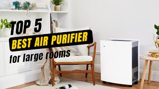 Best Air Purifier for Large Rooms 2022
