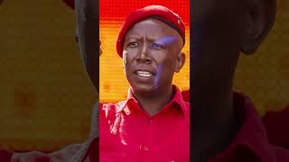 Julius Malema and Ngizwe Mchunu feud continues in court 📍