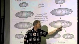 BIOL 235 Session 3