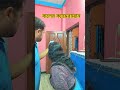 বালের ক্যামেরাম্যান 🤣🤣 funny viralvideo shorts